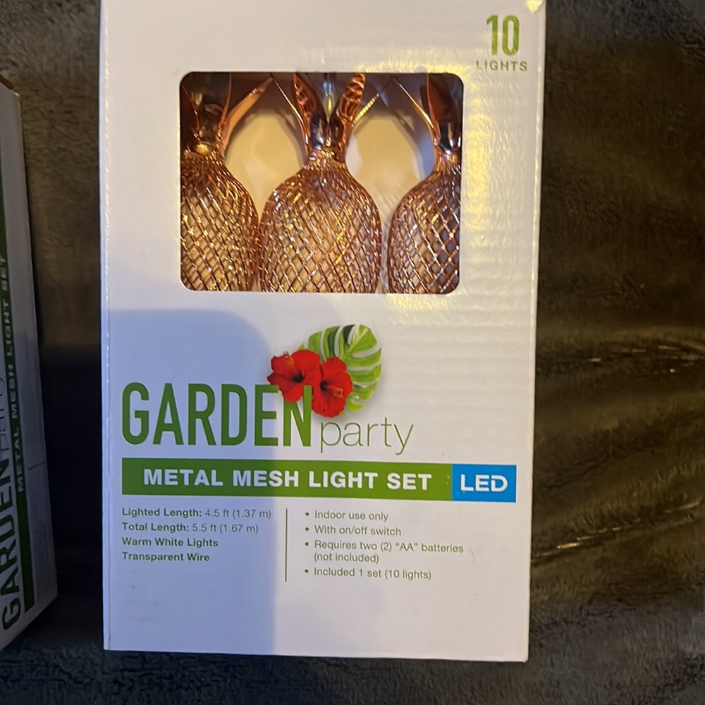 Outside lights - Picture 3 of 3